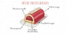 croquis de recette d'une bûche aux fruits rouges avec les ingrédients annotés-Perle Dorée pâtisserie