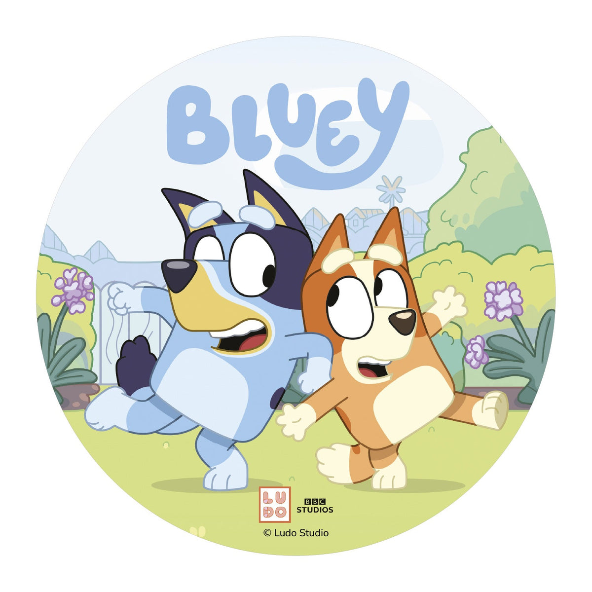 Disque Azyme Bluey Dekora Ø 20 cm