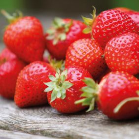 Pâte aromatisante fraise 120 g FunCakes