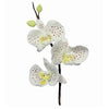 Découpoirs Orchidée PME set de 3