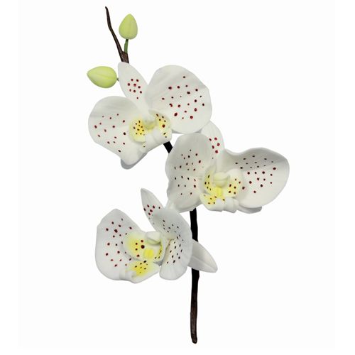Découpoirs orchidée set de 3 PME