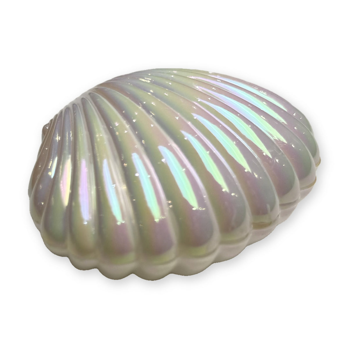Bonbonnière coquillage nacrée lot de 12
