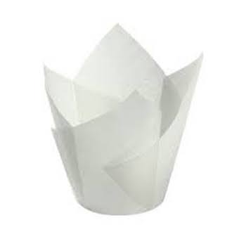 Caissettes tulipe blanches x20