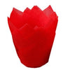 Caissettes tulipe rouge