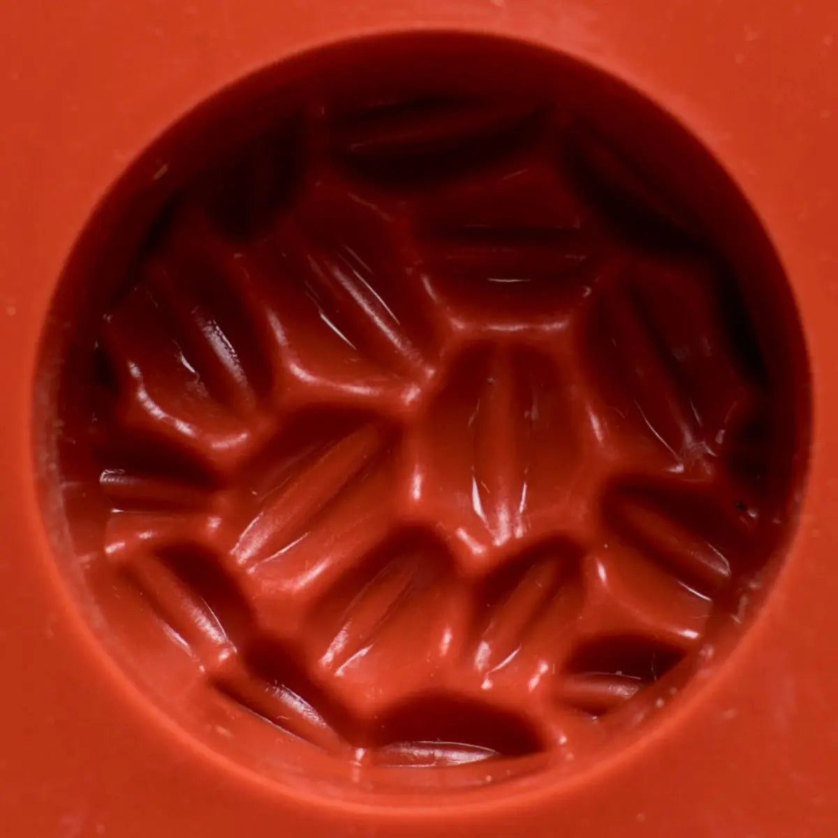 Moule silicone 12 grains de café