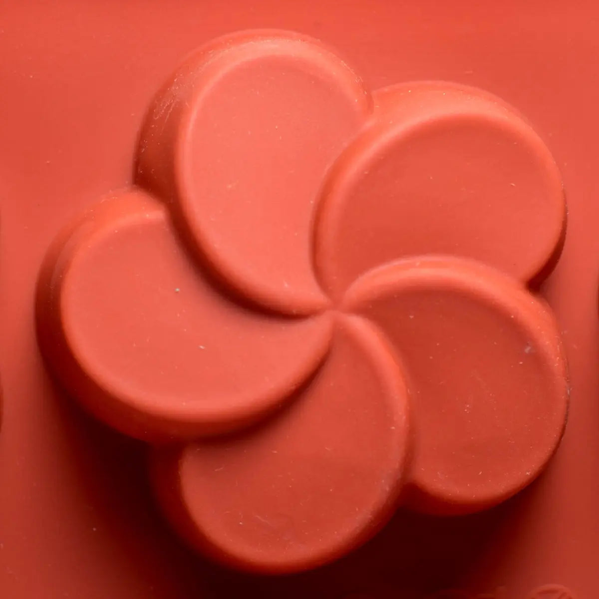 Moule silicone 8 Frangipaniers