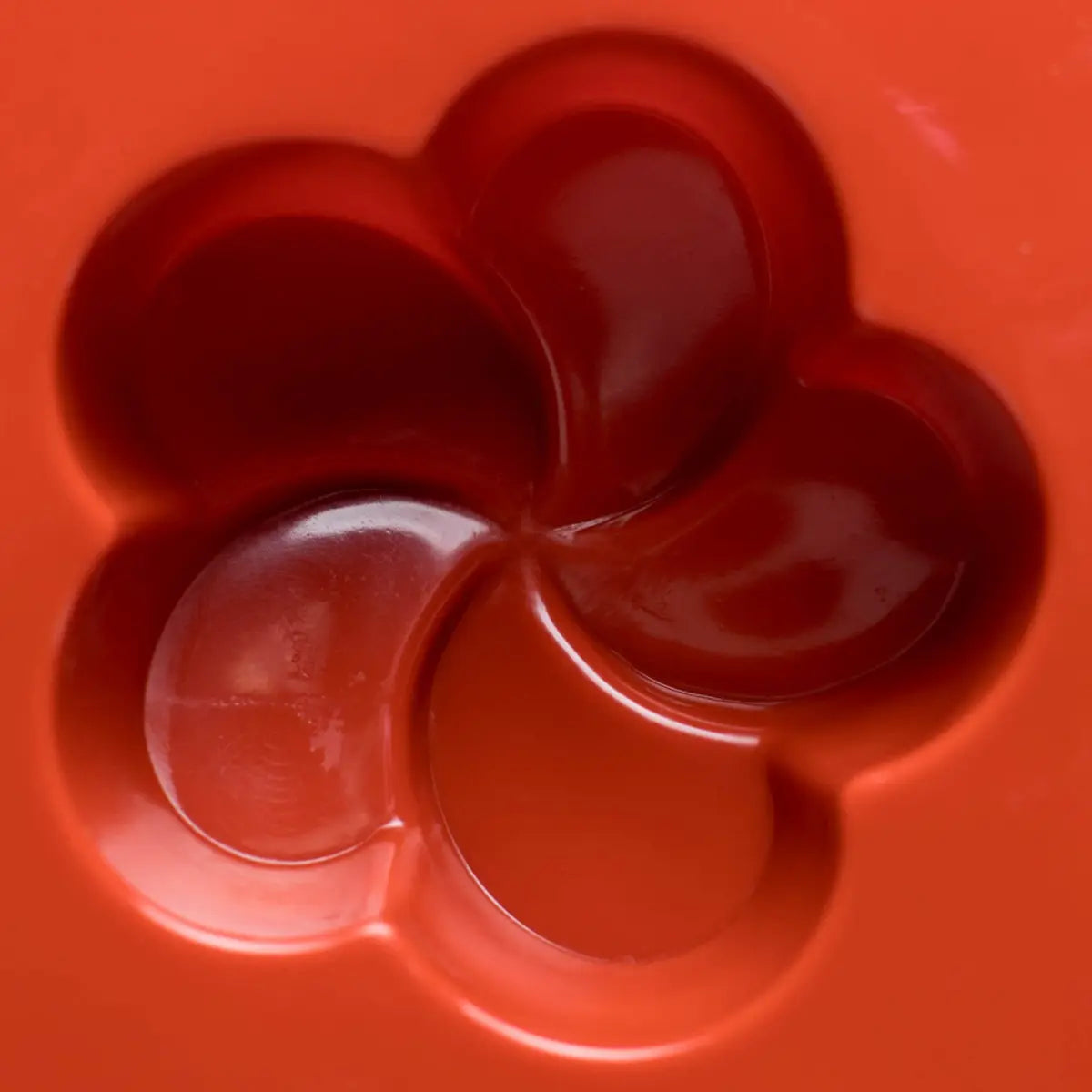 Moule silicone 8 Frangipaniers