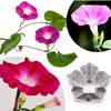 Découpoirs Message Pétunia lot de 5