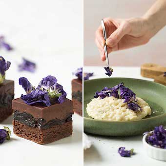 Fleurs comestibles mauves Decora