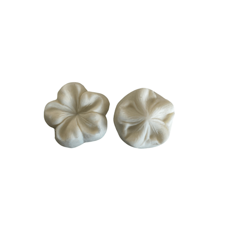 Moule de modelage fleurs