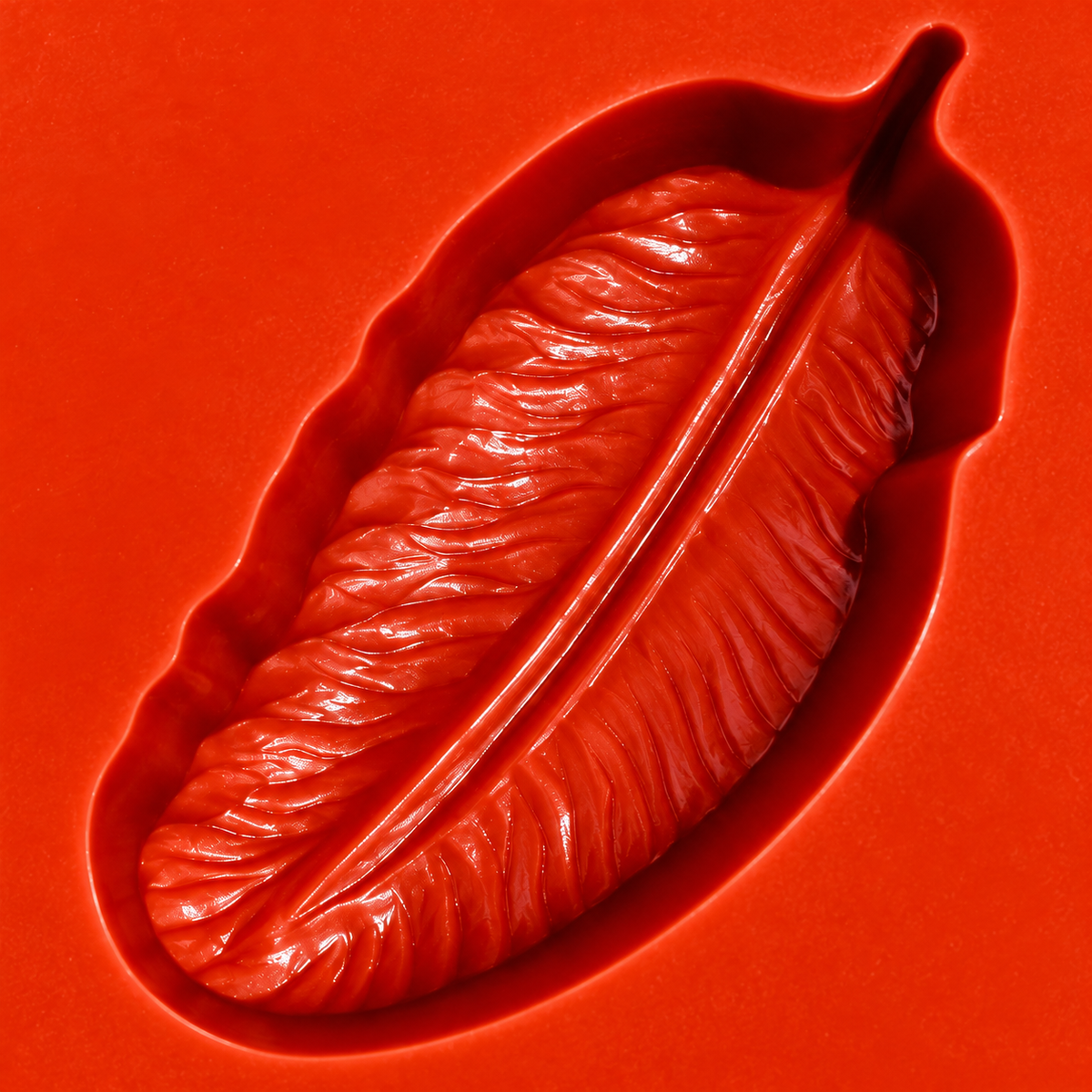 Moule silicone 12 Plumes
