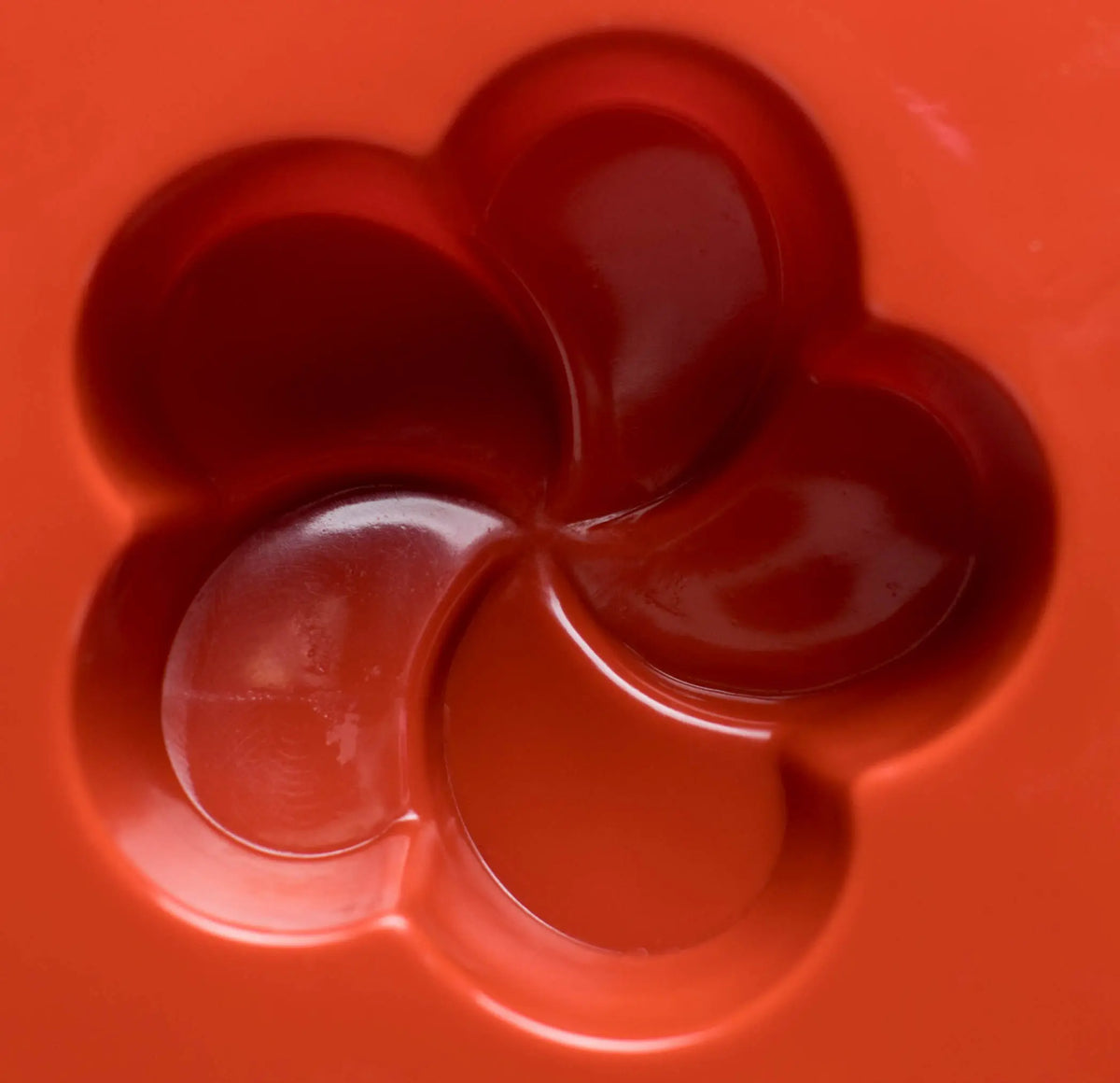 Moule silicone 15 frangipaniers
