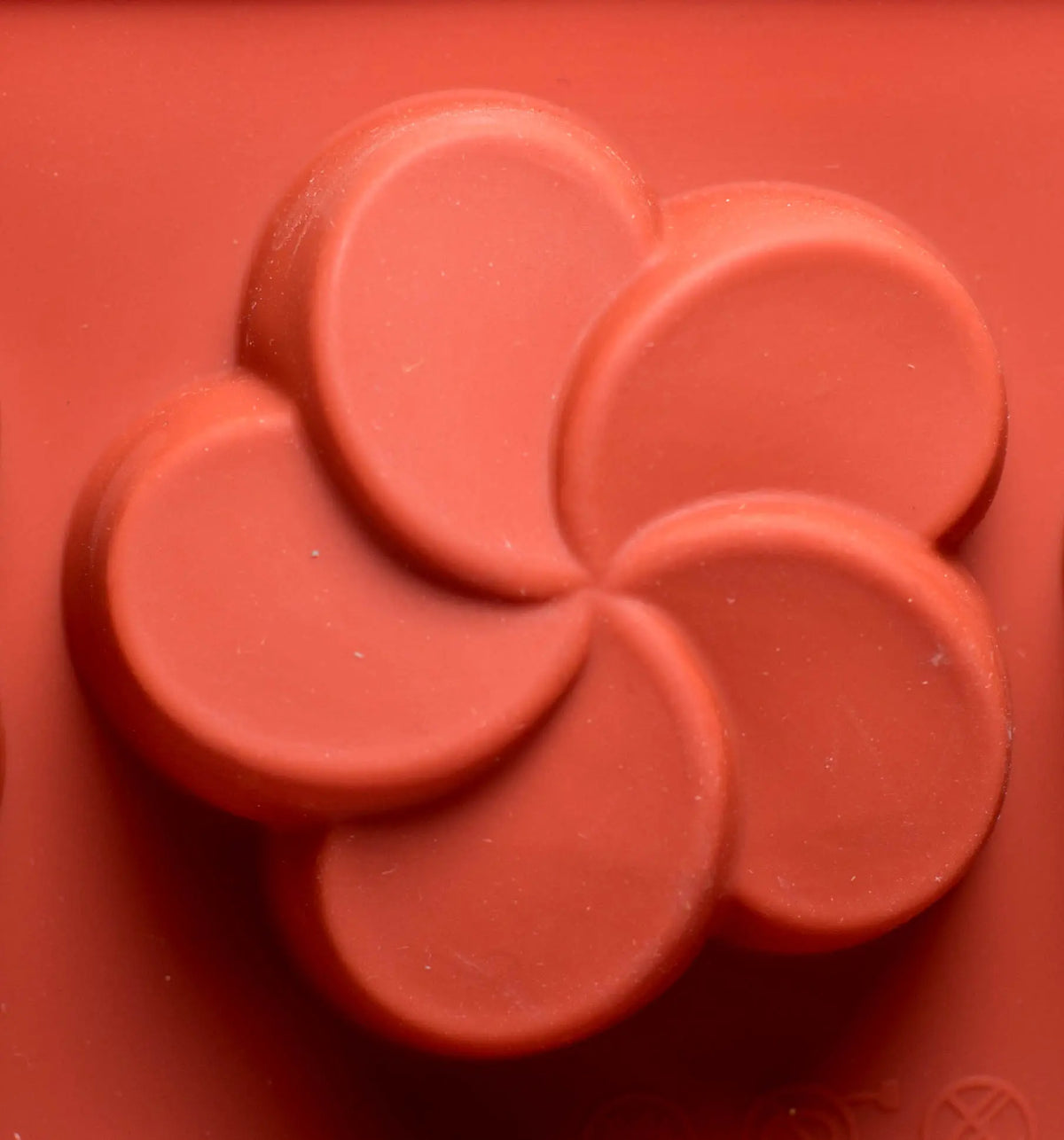 Moule silicone 15 frangipaniers