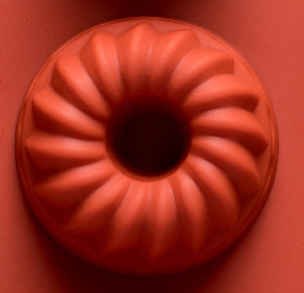 Moule silicone 15 kouglofs