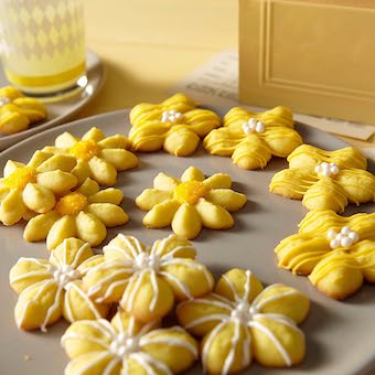 Presse à biscuits Simple Succès 12 disques Wilton